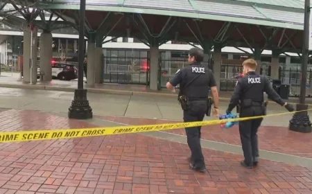 Police Lured by Fake 911 Call, Stabbing Ensues at Bellevue Transit Center