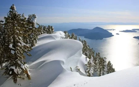 CEC Draw Lowers CRS Cut-off to Record Low for 2025