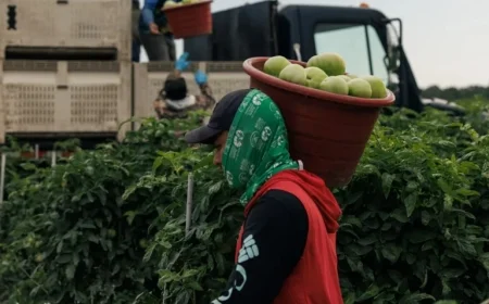 Few Farms Join Fair Food Program, Experts Cite Abuse Prevention Potential