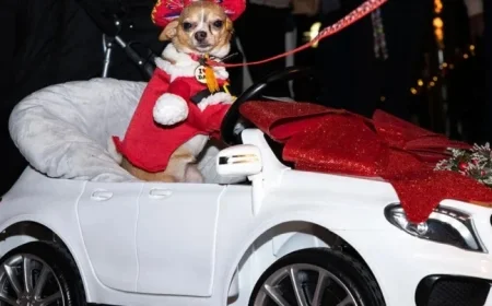 Christmas Island Hosts Vibrant Canine Parade Celebration