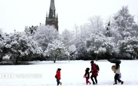 Frequency of White Christmases in Your Area Explored