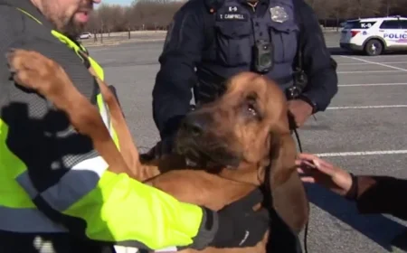 DC Police Bloodhound Successfully Locates Two Missing Individuals