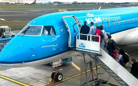 Rat Infestation Forces Vacation Flight Cancellation