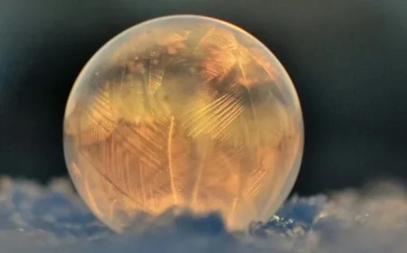 Winter Solstice Arrives: Embrace the Season’s Change