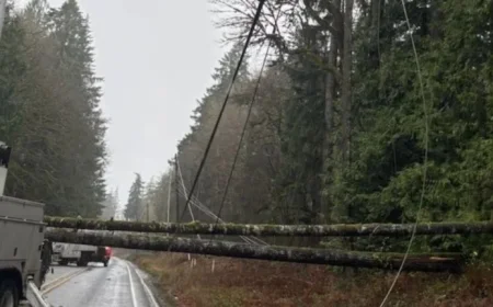 Power Outage Leaves Thousands in Washington Without Electricity
