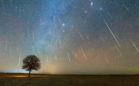 Watch the Year’s Final Ursids Meteor Shower: Viewing Guide