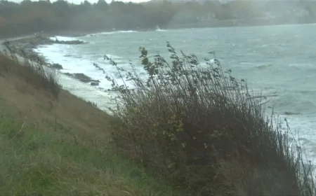 Rain and Wind Warnings Issued for Vancouver Island: Gusts Up to 100 km/h