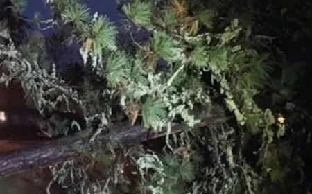 Severe Weather Forces School Delays, Road Closures in Oregon