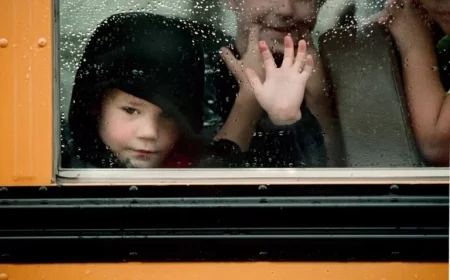 Powerful Winds Topple Powerlines and Trees, Disrupting Oregon Schools Wednesday