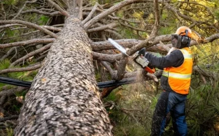 High Winds Leave Nearly 100,000 Without Power in Spokane Region