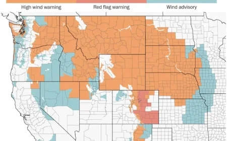 Powerful Winds Leave Hundreds of Thousands Without Power in Northwest