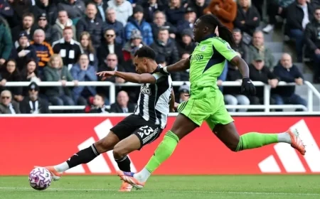 Newcastle vs Fulham: TV Details, Kick-off Time & Team News