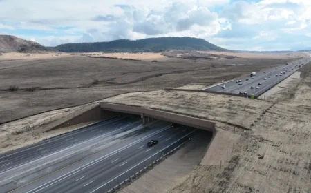 North America’s Largest Wildlife Overpass Opens for Elk in Douglas County