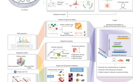 Comprehensive Analysis of Human 4D Nucleome Structure and Function