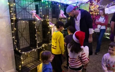 37th Street Lights’ Petting Zoo Swaps Stuffed Animals for Interactive Activities