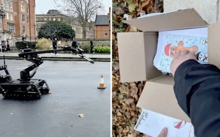 Robot Deployed to Parliament for Suspicious Christmas Card Package Investigation
