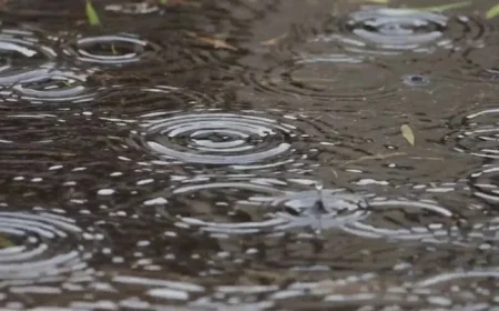 Breezy Winds and Showers Set to Move In Today