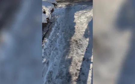 NYC Issues 150 Snow Shoveling Fines on Staten Island Post-Storm