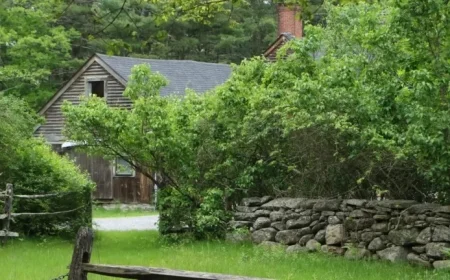 Matt Rife Attempts to Trademark ‘Conjuring House’: Key Insights