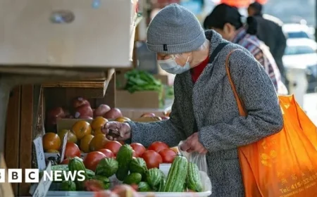 US Inflation Slows in November, CPI Shows Reduced Price Increases