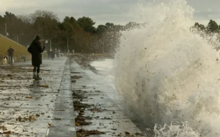 Wind Advisory Issued for Greater Victoria Area