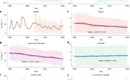 Exploring the Global Hydrogen Budget in Nature’s Latest Publication