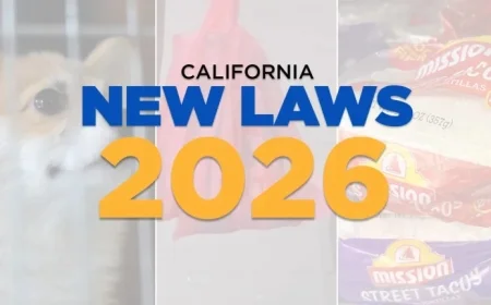 California Enacts 2026 Laws: Plastic Bag Ban, Streaming Changes, Chatbot Regulation