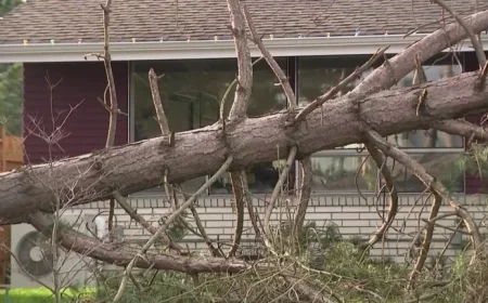 Storm System Brings Wind and Rain Thursday Before Calmer Weather Arrives