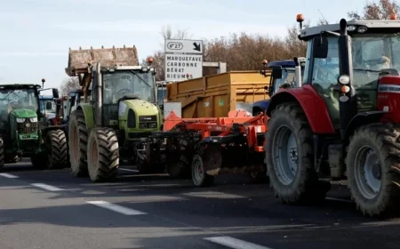 France Accelerates Vaccination Amid Ongoing Dermatose Protests