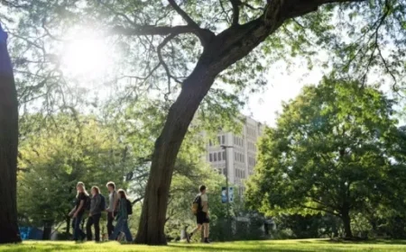 Tree Maintenance and Removal on Campus Starts Thursday