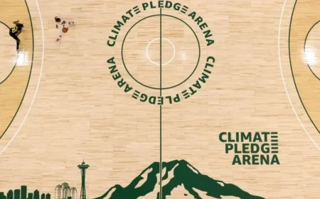 NBA Expansion: New Divisions, Realignment, and Draft Impact