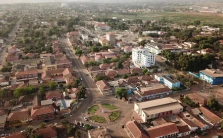 CDC Grants Award to Danish Researchers Linked to FDA Official