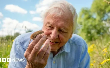 Why David Attenborough Chooses London as His Exclusive Home