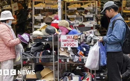 Japan Raises Interest Rates to 1995 High Amid Inflation Surge