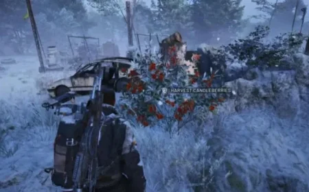 Discover Candleberries and Flickering Flames Items in Arc Raiders