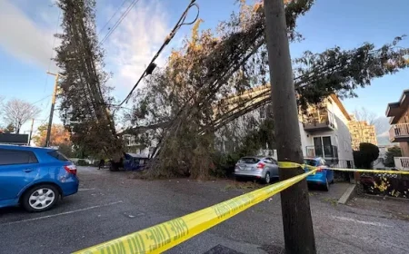 Powerful Storm Leaves Thousands Without Power in B.C.