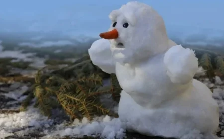 Snowflake Update Sparks Global Wave of System Failures