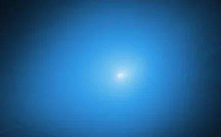 Trump Halts Green Card Lottery Following Shootings at Brown University, MIT