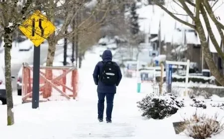 Surrey, White Rock, Lower Mainland Unlikely to See a White Christmas