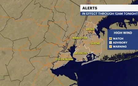 Storm Watch: Heavy Rains and Flooding Hit Bronx Areas