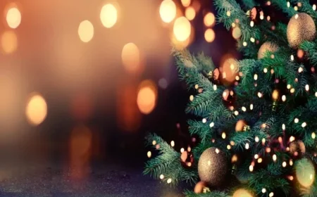 Christmas Forecast: Expect Drier, Colder Weather Conditions