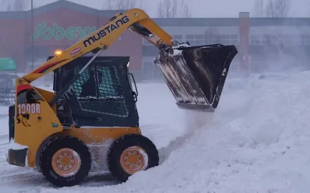 Manitoba Faces Weather Warnings as Blizzard Forces School Closures