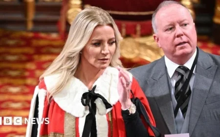 PPE Firm Linked to Michelle Mone Liquidated, Unable to Repay £148m