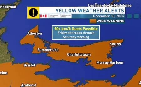 P.E.I. Braces for Weekend Winds Reaching 100 km/h