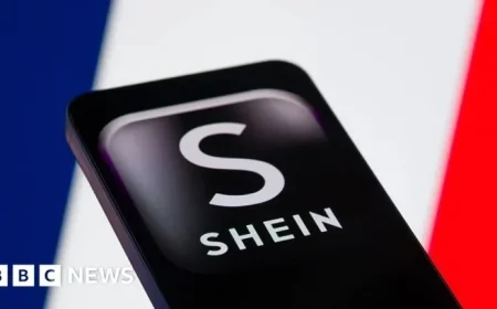 French Court Denies Shein Website Ban Over Childlike Dolls Issue