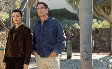 Canceled ‘Tony & Ziva’: What Season 2 Could Have Explored