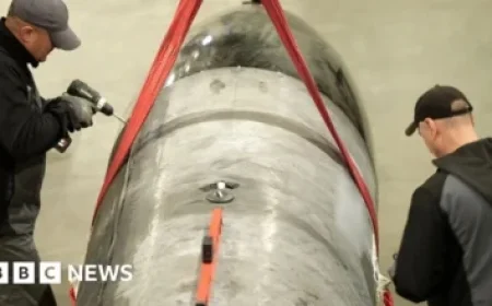 Tony Ferguson Shares Brock Lesnar’s Advice During UFC Career Challenges