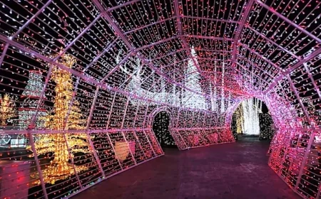 Cinema Nights, Snowball 5K & 1K, ‘The Sound of Music’ Highlights