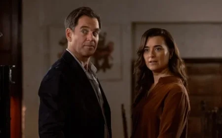 Paramount+ Cancels ‘Tony & Ziva’ After Single Season