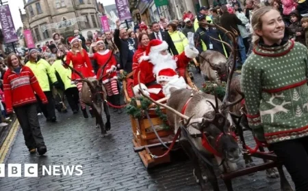 Animal Campaigners Urge Ban on Live Reindeer Christmas Events
